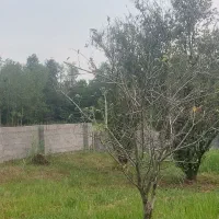 ۳۰۰متر زمین مسکونی مستثنیات دیگه سرا