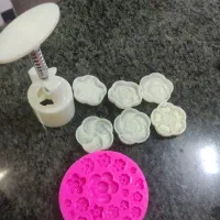 قالب بسکوییت
