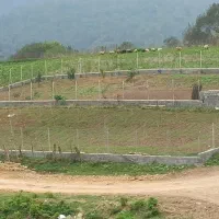 فروش زمین در روستای زیبای ورکی