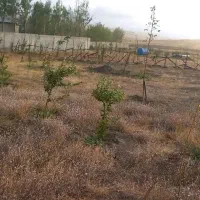 فروش-زمین-زراعی-وباغ