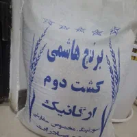 برنج