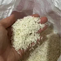 برنج هاشمی درجه یک
