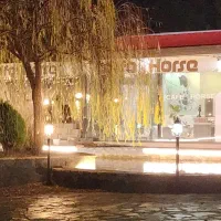 نیروی جوان باانگیزه