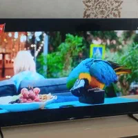 ال ای دی امپریال اسمارت و هوشمند ۵۵اینچ قیمت مناسب