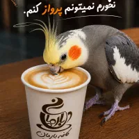استخدام باریستا