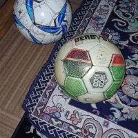 توپ چمن