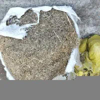 فروش کاه امسال