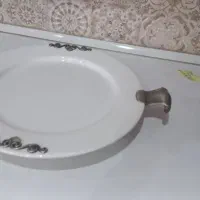 فروش میوه خوری چینی