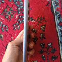 s23fe|موبایل|بهبهان, |دیوار