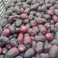 خرما درجه یک