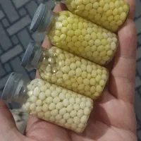 حلزون و خاویار حلزون