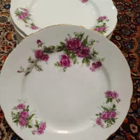 پلوخوری 24و 23و 21و خورشت۲۳ سانت مارک مسعودو ارکید