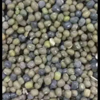 ماش ارتشی درجه یک ۶تن