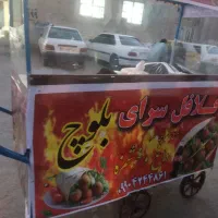 گاری فلافلی