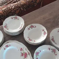 بشقاب گل سرخی سالم