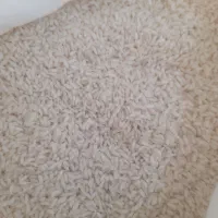 برنج عنبربو تبدیل شمال