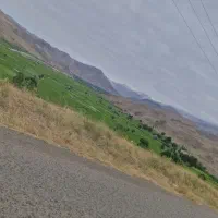 زمین