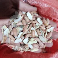 لپه و ریز بادام خریدارم