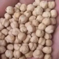 فروش نخود سفید کرمانشا کاشت امسال