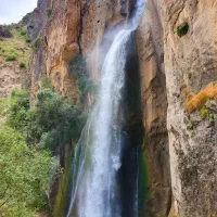 تور و چارتر
