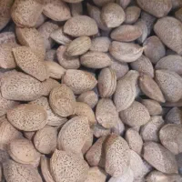 بادام شیرین و لوبیا چیتی و برنج نیم دانه