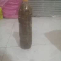 خیار شور