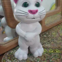 تامی سخن گو