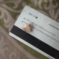 مهر.خر