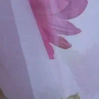 پرده