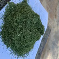 سبزی خشک آب دوغ خیار