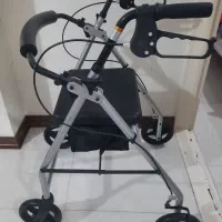 ویلچر واکری