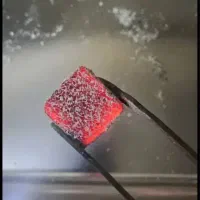 ذغال‌نارگیل/ذغال‌دی*
