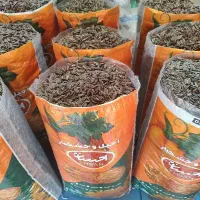 تخمه آفتاب گردان و کدو در طعم های مختلف