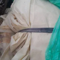 پلاستیک گلخانه 2ماه کاره