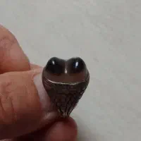 انگشتر نقره