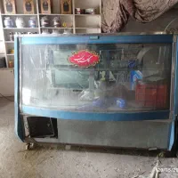 یخچال مخصوص جیگرکی