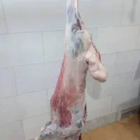 سلاخی و ذبح گوسفند