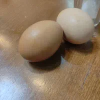 تخم مرغ محلی