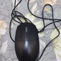 موس