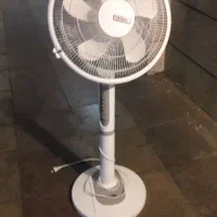 پنگه ایستاده ارشیا