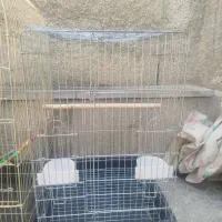 قفس پرنده