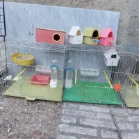 قفس پرنده