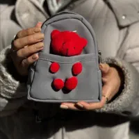 آنلاین شاپ کیف و مینی بگ