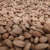 بادام درختی  درجه یک  شیرین و پر مغز