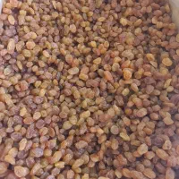 سبزیجات و کشمش آبغوره و آبلیمو