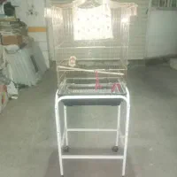 قفس طلایی و پایه چرخ دار