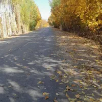 زمین کشاورزی ۳۷ من قیمت هر من ۱۱۰ میلیون تومان