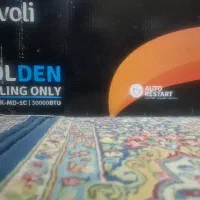 کولر گازی ایوولی30000گلدن t3
