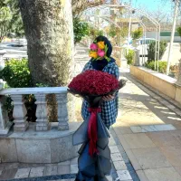 گل ربانی و پروانه ای