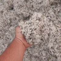 تفاله چغندر بسته بندی